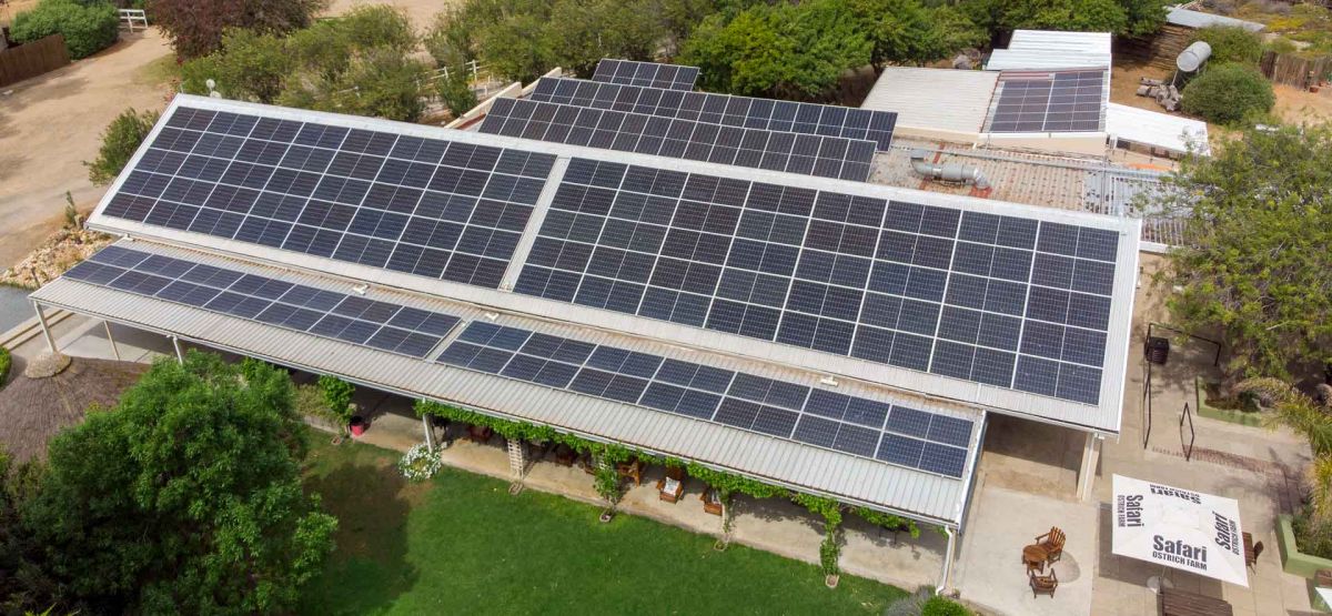 Commercial solar installation at the Safari Ostrich Farm