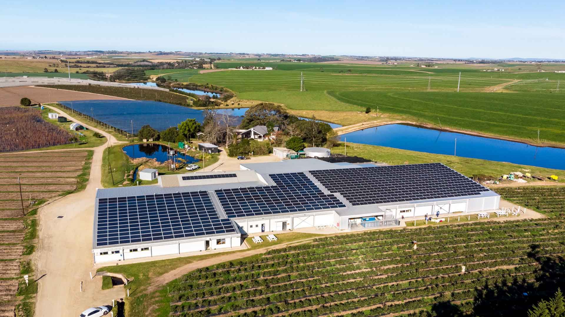 commercial solar systems array showing 229.6 kWp Grid-tied Commercial Installation in George, Western Cape