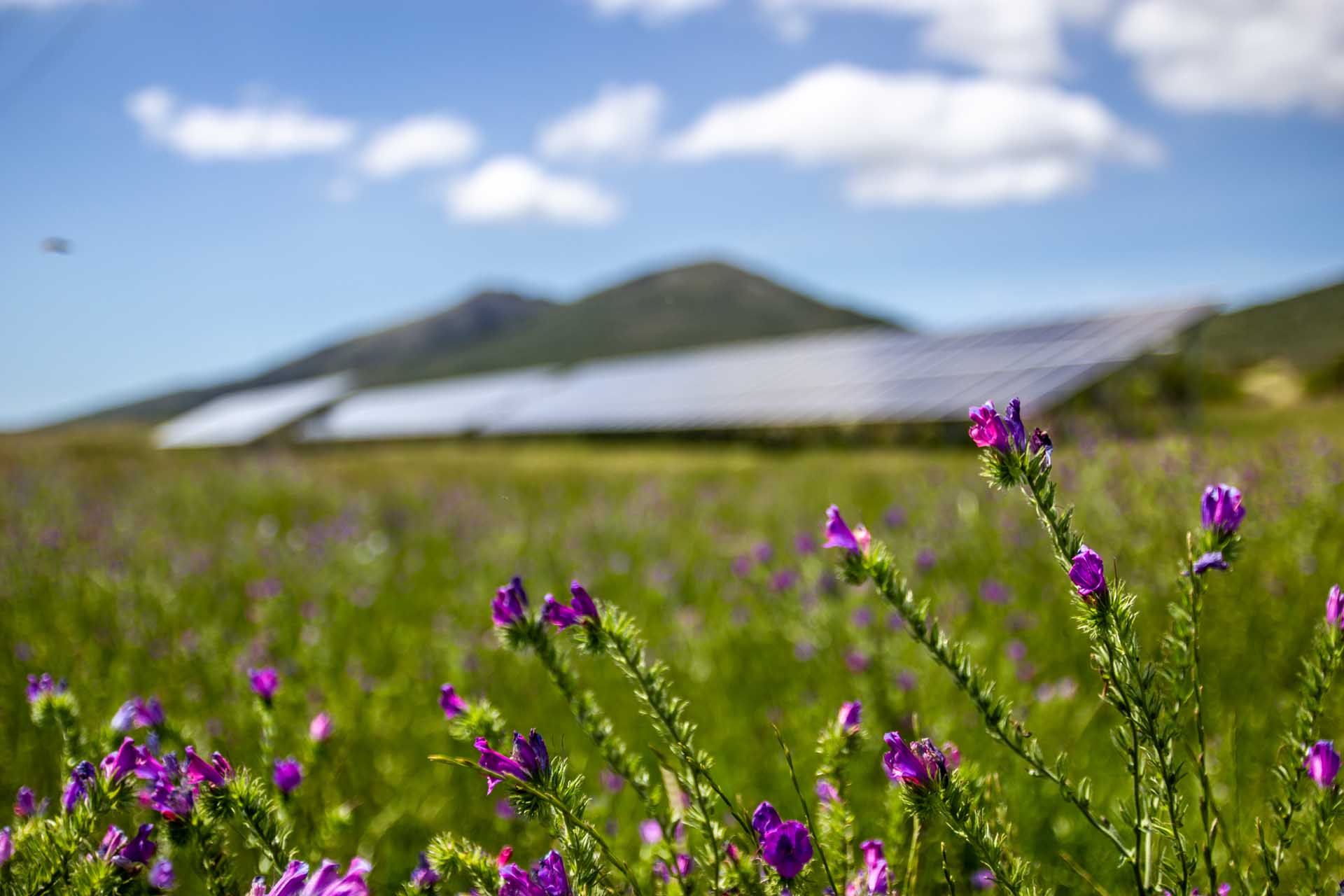 164.3 kWp Grid-Tied solar system at Garden Route Game Lodge