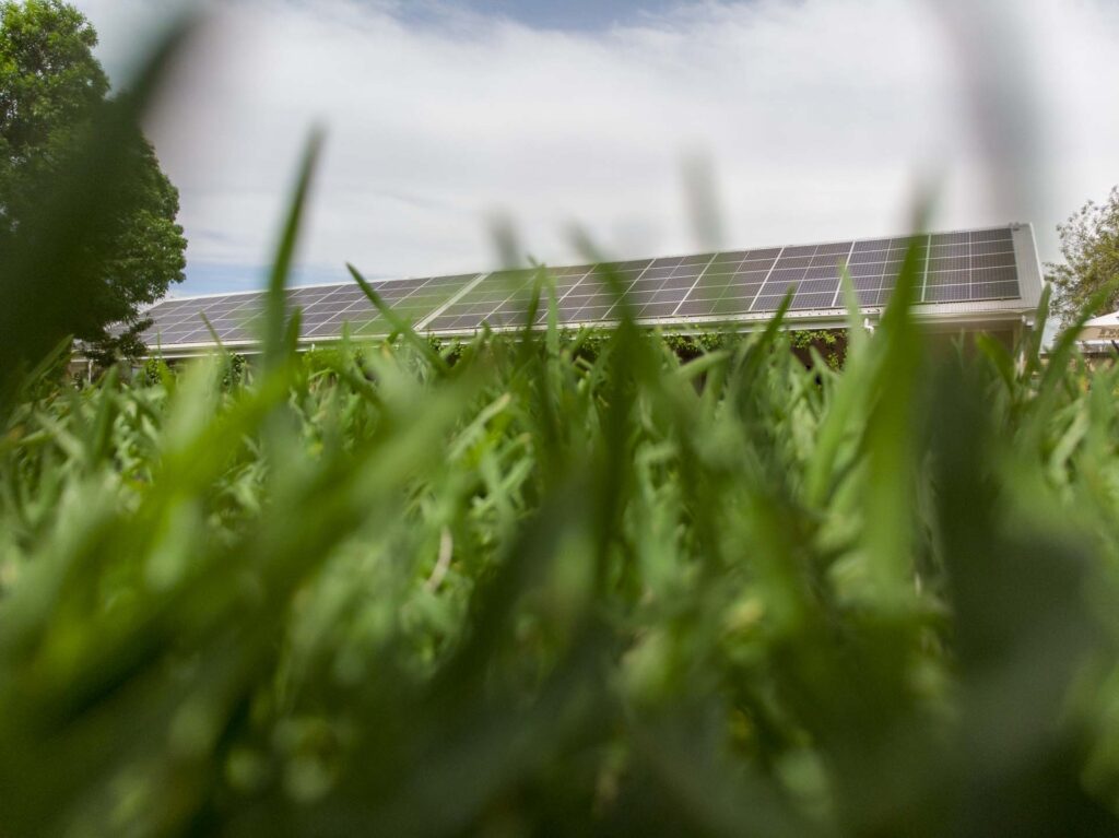 A commercial hybrid solar powered system installation at the Safi Ostrich Farm in Oudthoorn