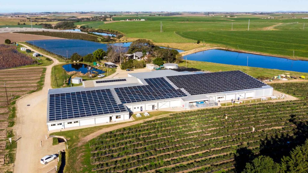 commercial solar