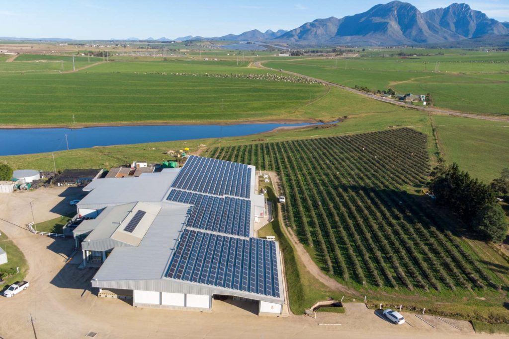 solar panels at farm in South Africa