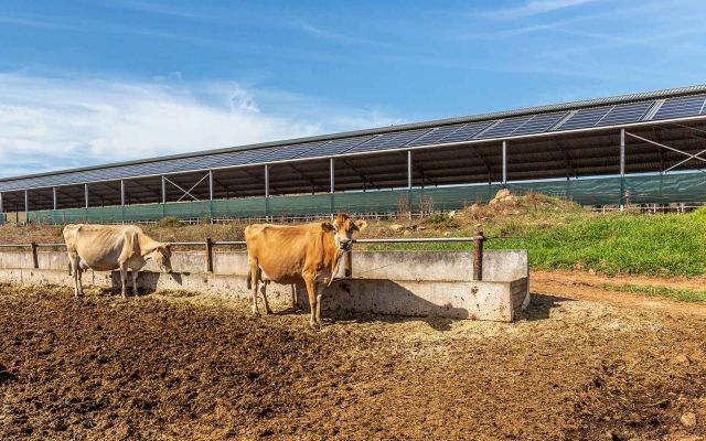 Image of a 96kWp solar array installation at a farm in Riversdale between Cape Town and George. The hybrid solar system was designed and installed by Specialized Solar Systems