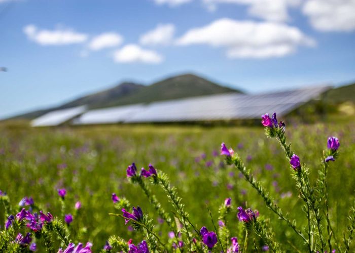 164.3 kWp Grid-Tied solar system at Garden Route Game Lodge