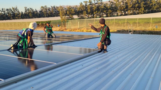 Three SSS installers fitting solar panels to a corrugated metal roof at Wesland Farm, with agricultural tunnels and trees in the background.