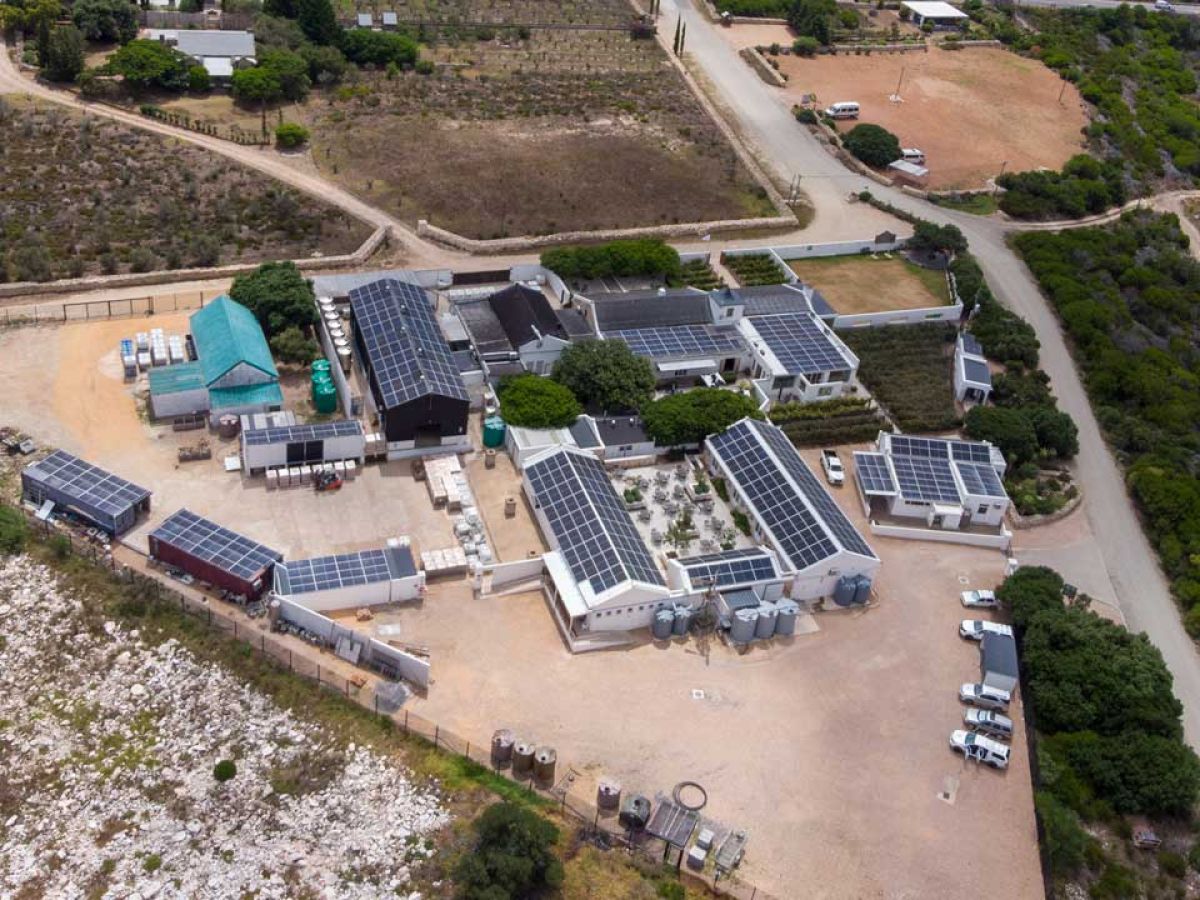 Commercial Solar Power Installation for the Inverroche Distillery in Still Bay